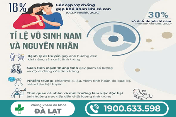 Hình ảnh minh họa